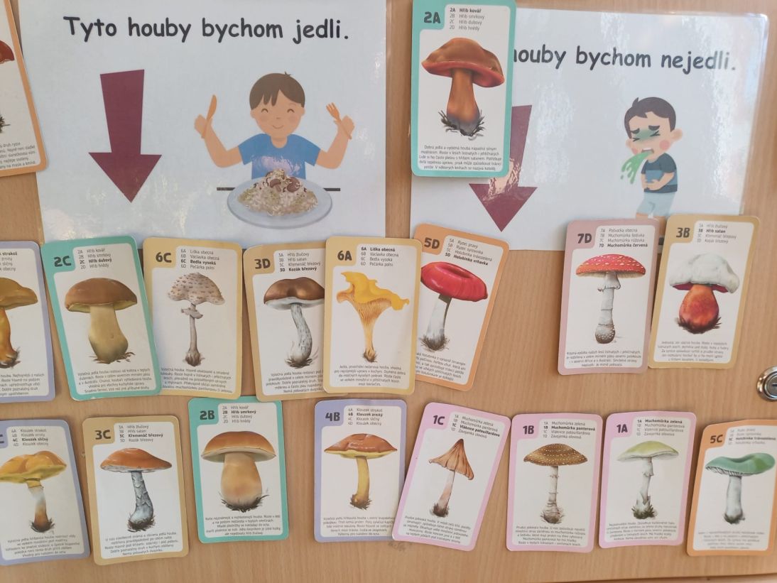 1450f657-36ef-4fe4-9103-5dec05b4e0fb 1450f657-36ef-4fe4-9103-5dec05b4e0fb