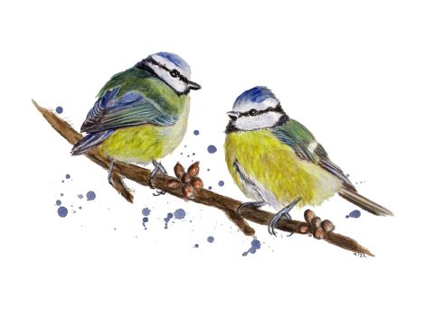 160-161_sýkorky_20220530