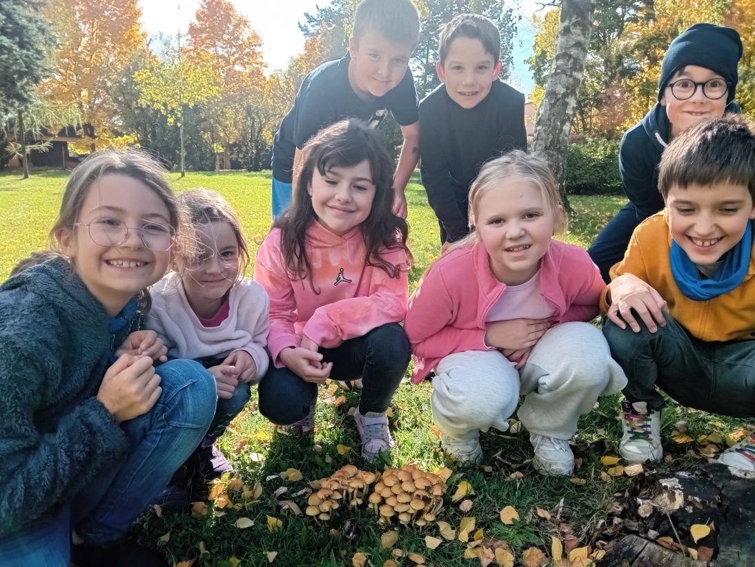 20c7024e-5ad4-4b72-be70-86fd1c835231 20c7024e-5ad4-4b72-be70-86fd1c835231