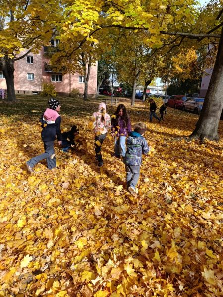 28cb9fd8-a62a-4755-9765-d1c9b4849246