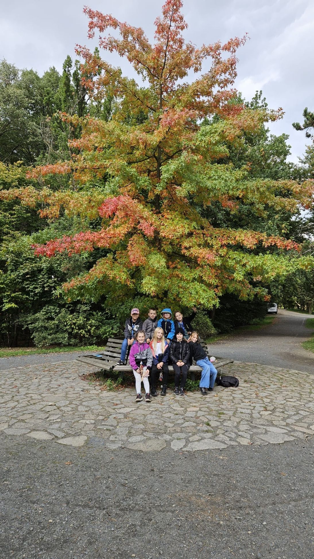 38879cac-af6c-4fee-9f7f-9477a82ae21a