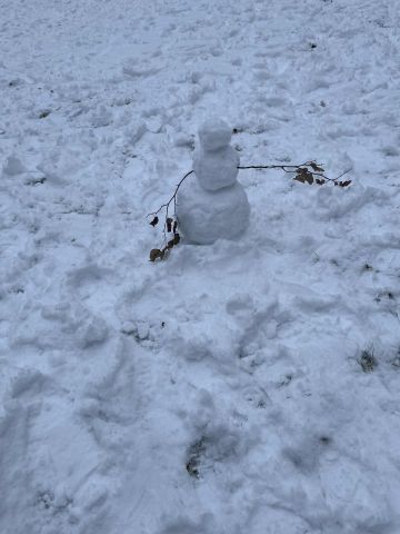 52dfa60d-8f6e-47f6-af36-ffbf697b6163