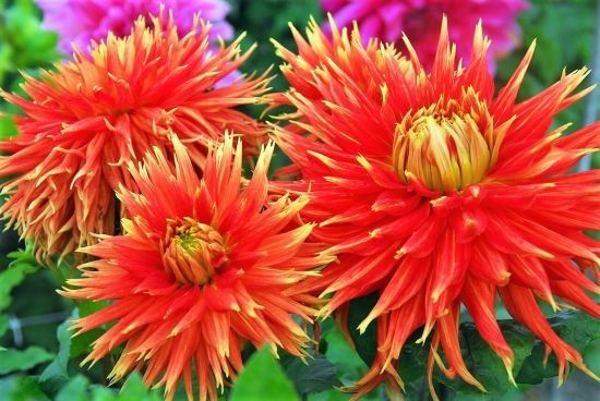 7.odd-25září2 7.odd-25září2