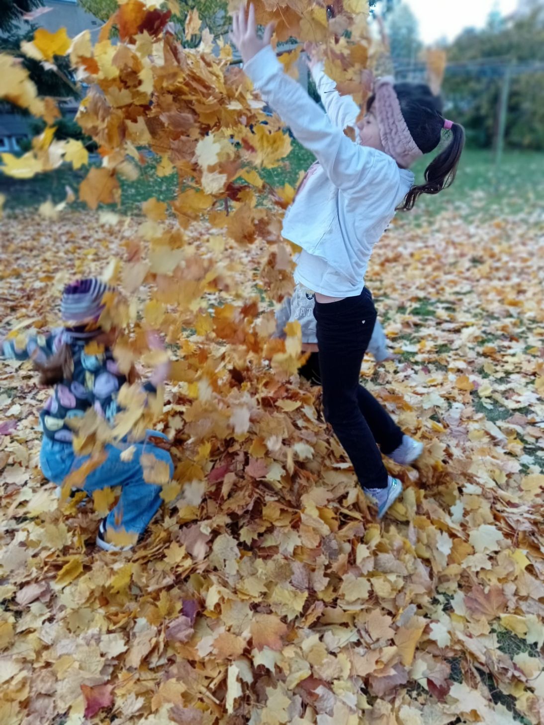 7b290cbd-bdbf-47a5-8621-02ad3c62528b 7b290cbd-bdbf-47a5-8621-02ad3c62528b