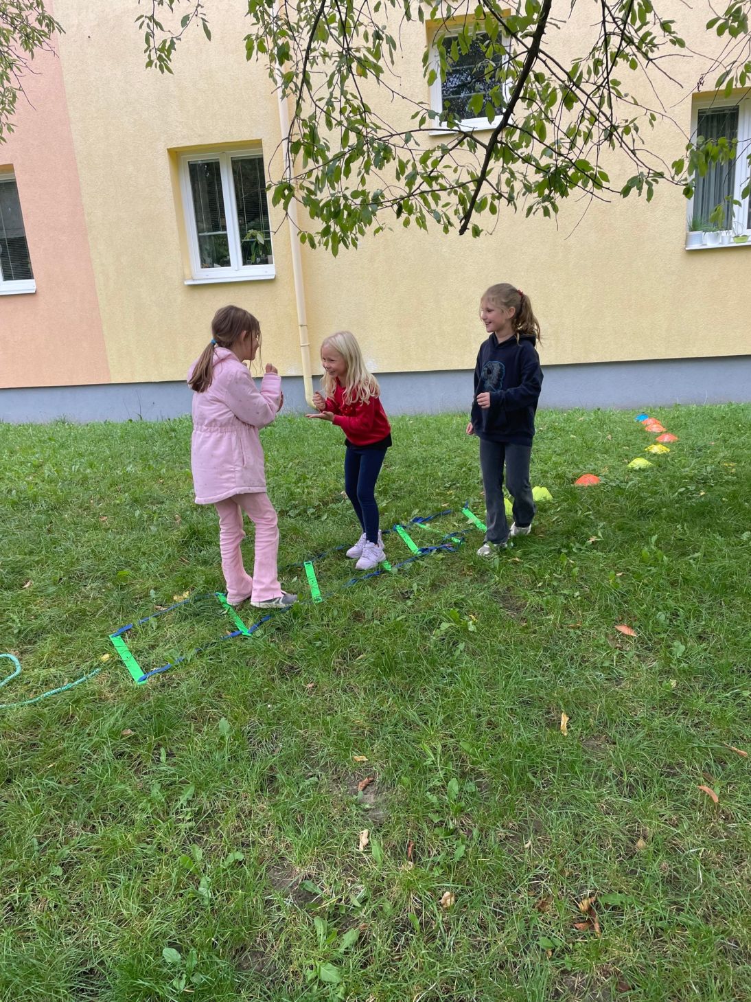 bf83134e-048e-4a0c-ab9a-019ae7304e5c bf83134e-048e-4a0c-ab9a-019ae7304e5c