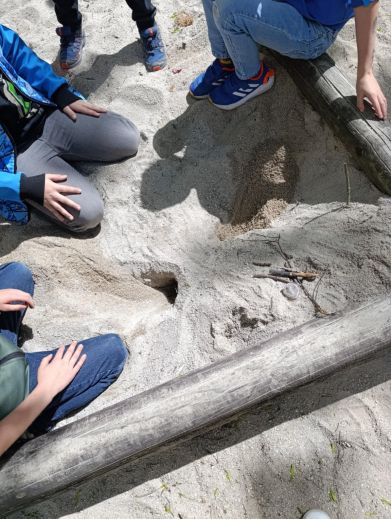 d9a15513-48b4-4f59-b338-d95a109c292b (1)