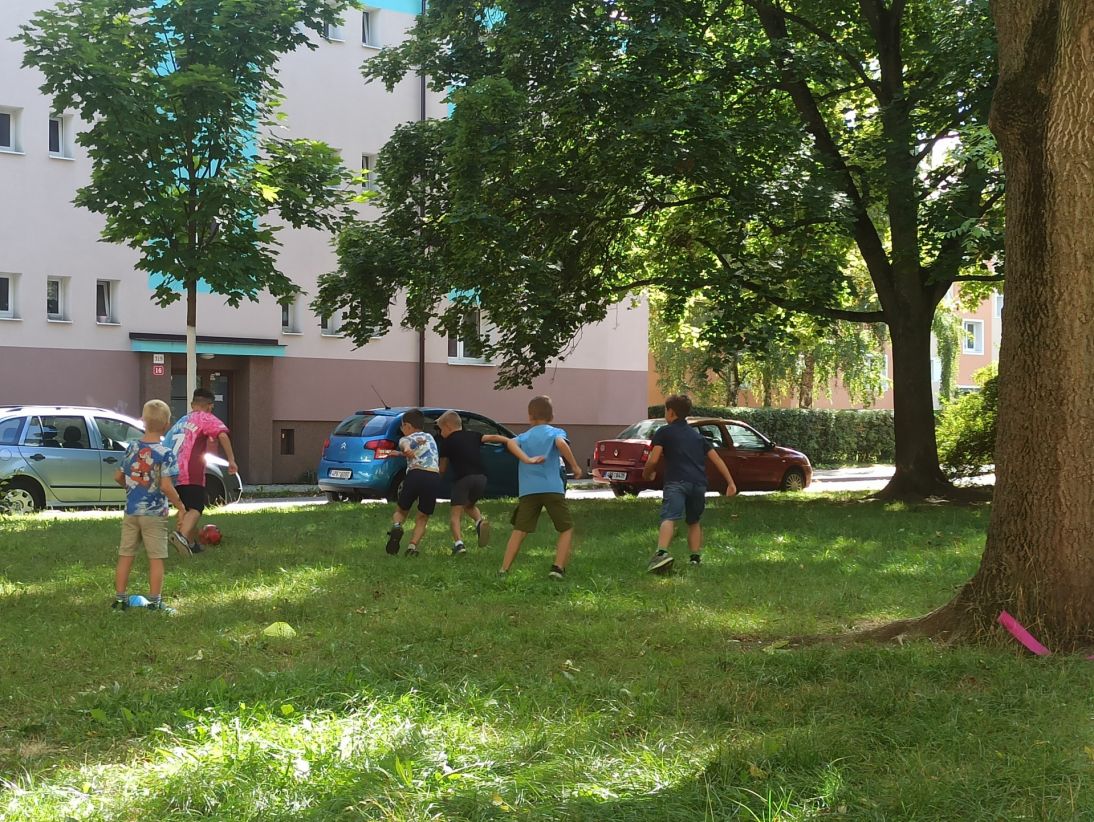 IMG_20250904_144624 IMG_20250904_144624