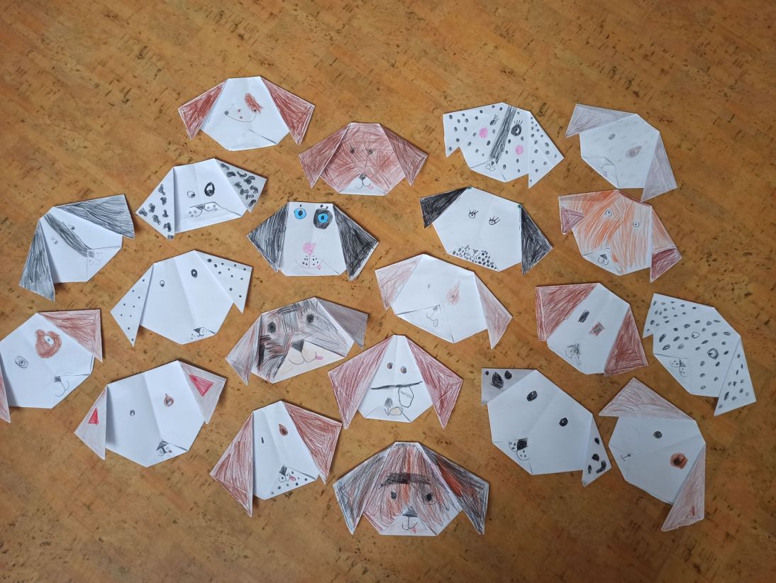 IMG_20250915_131004 IMG_20250915_131004