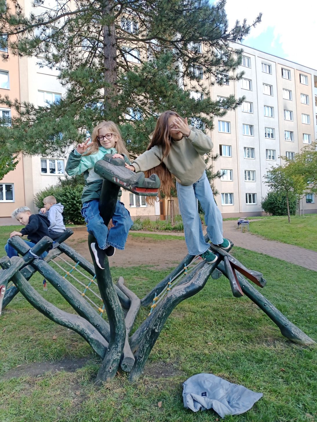 IMG_20250929_144141_460 IMG_20250929_144141_460