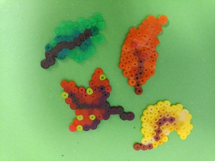 IMG_20251008_152851_555 IMG_20251008_152851_555