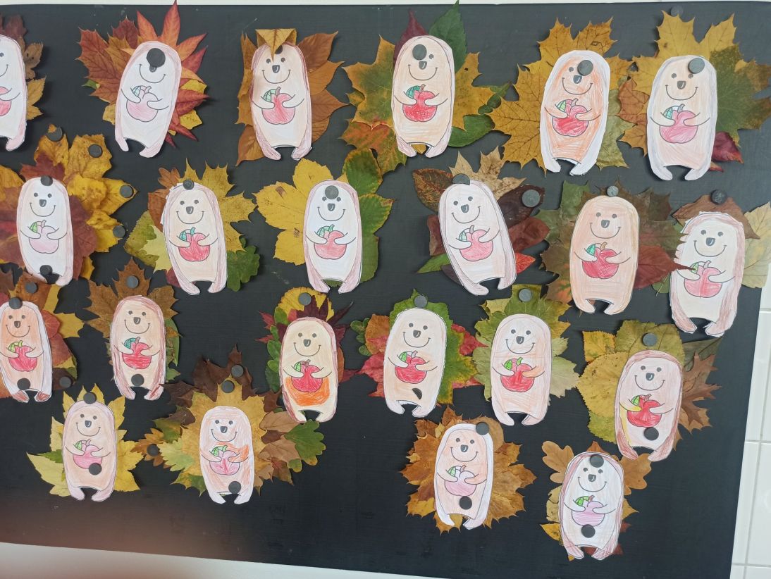 IMG_20251020_124941 IMG_20251020_124941