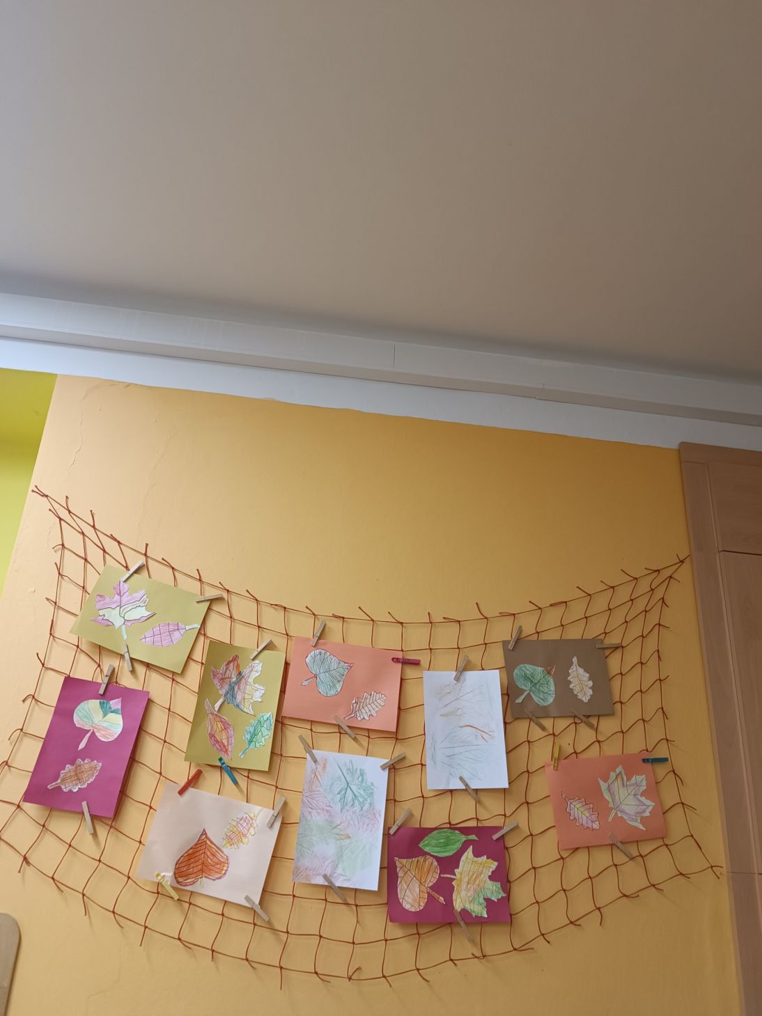 IMG_20251103_152018 IMG_20251103_152018