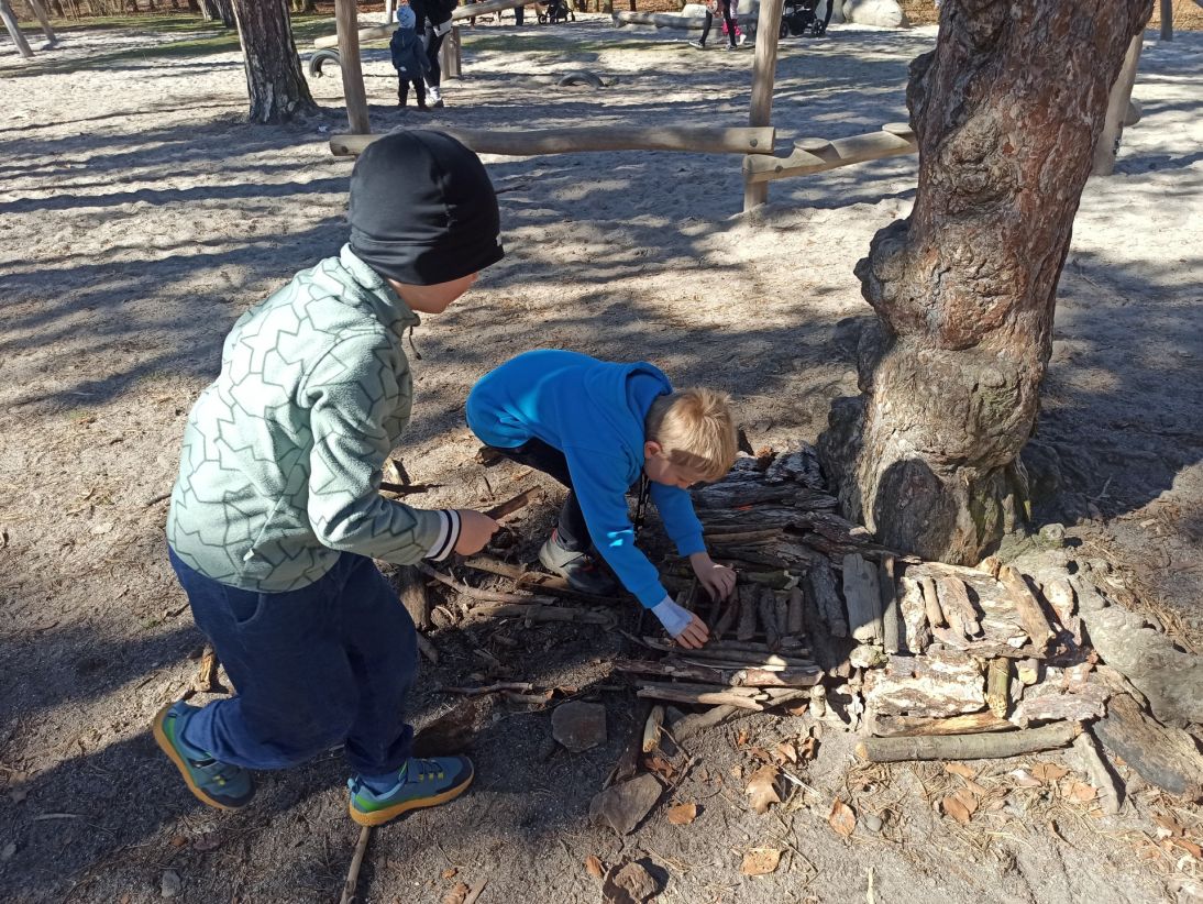 IMG_20260313_114156 IMG_20260313_114156