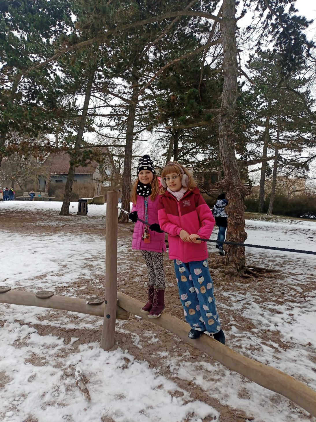 Vycházky v&nbsp;lednu