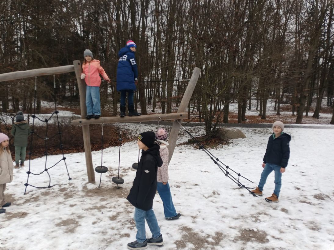 Vycházky v&nbsp;lednu