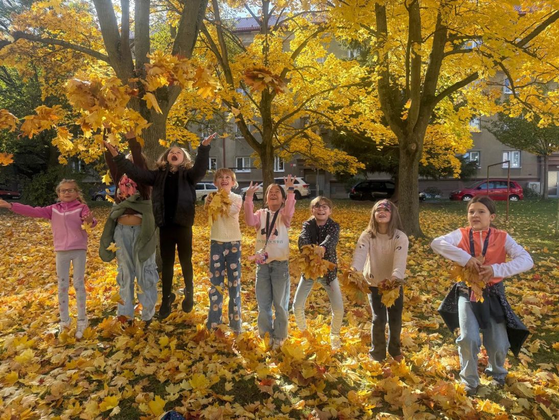 WhatsApp Image 2025-10-15 at 11.15.36