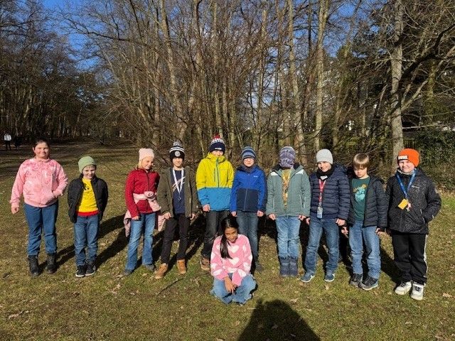 Želvy na vycházce Želvy na vycházce